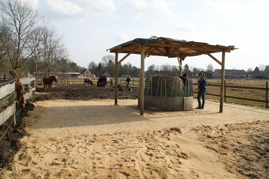 Raufe gestellt und befüllt