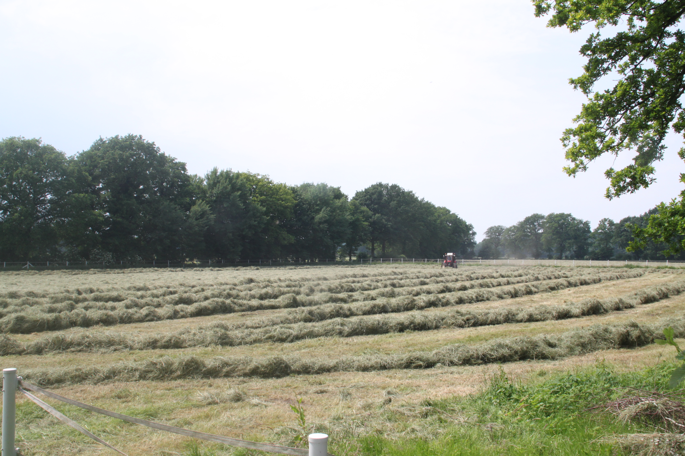 Wir machen unser eigenes Heu